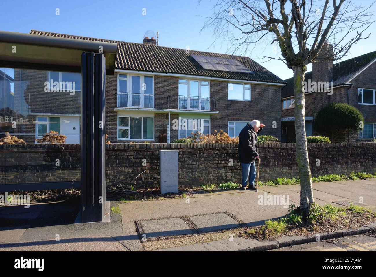 Un homme âgé avec les cheveux blancs et un bâton de marche regardant dans la distance en attendant sur une route de banlieue à Worthing West Sussex Angleterre Royaume-Uni Banque D'Images