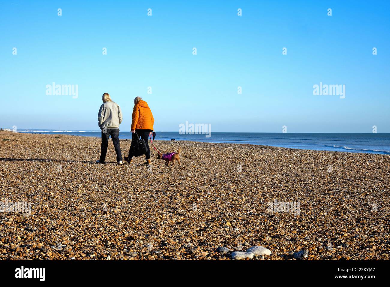 Vue arrière de deux femmes d'âge moyen promenant un chien sur la plage lors d'un jour d'hiver ensoleillé Worthing West Sussex Angleterre Royaume-Uni Banque D'Images