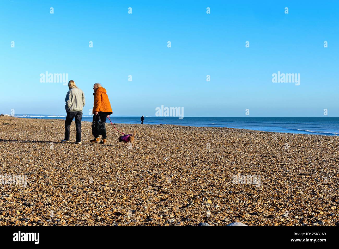 Vue arrière de deux femmes d'âge moyen promenant un chien sur la plage lors d'un jour d'hiver ensoleillé Worthing West Sussex Angleterre Royaume-Uni Banque D'Images