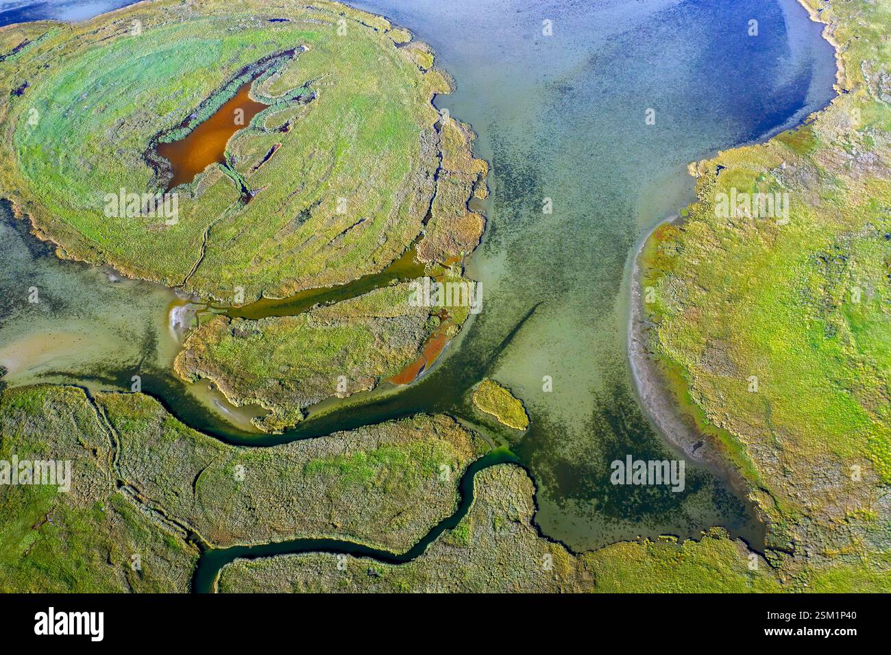 Vue aérienne sur les canaux et les marais salants du groupe d'îles Kleiner Werder / Kleine Werder dans la mer Baltique, Mecklembourg-Poméranie occidentale, Allemagne Banque D'Images