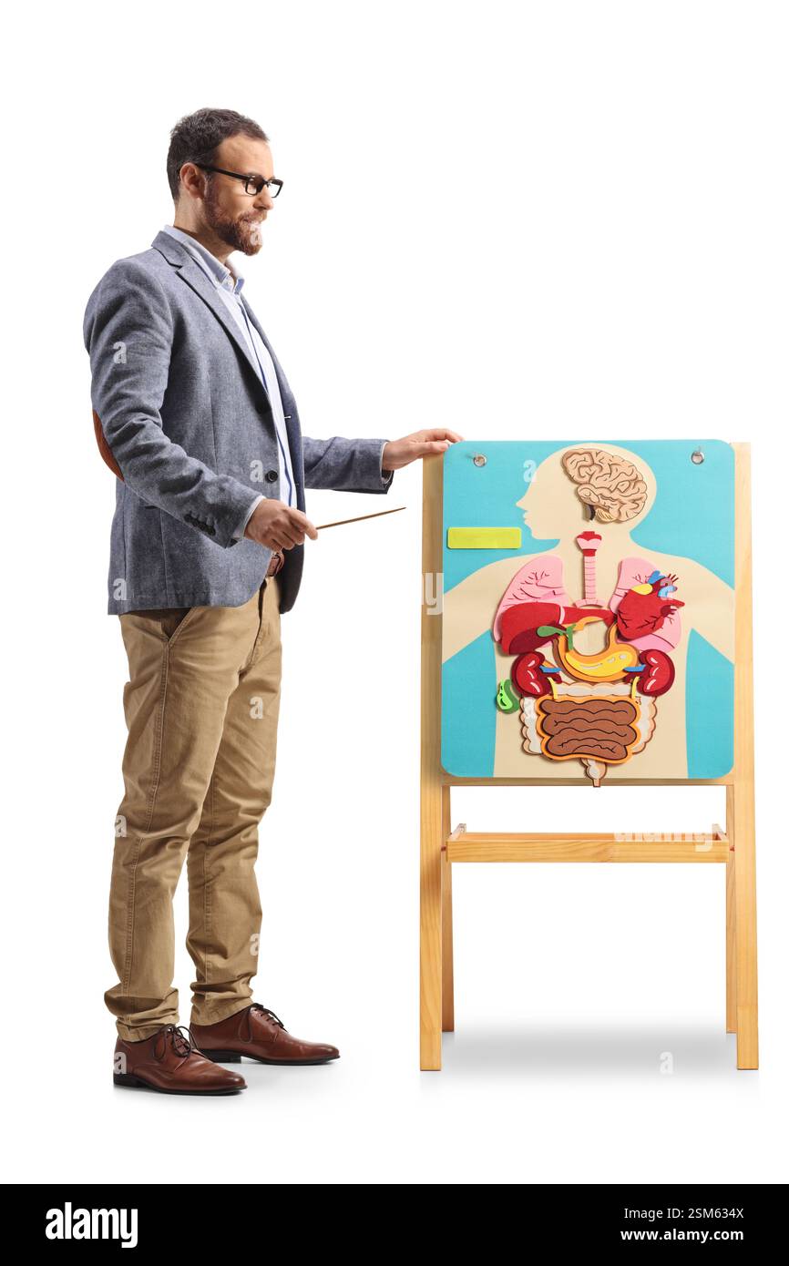 Professeur de biologie masculin pointant une affiche avec des organes humains isolés sur fond blanc Banque D'Images