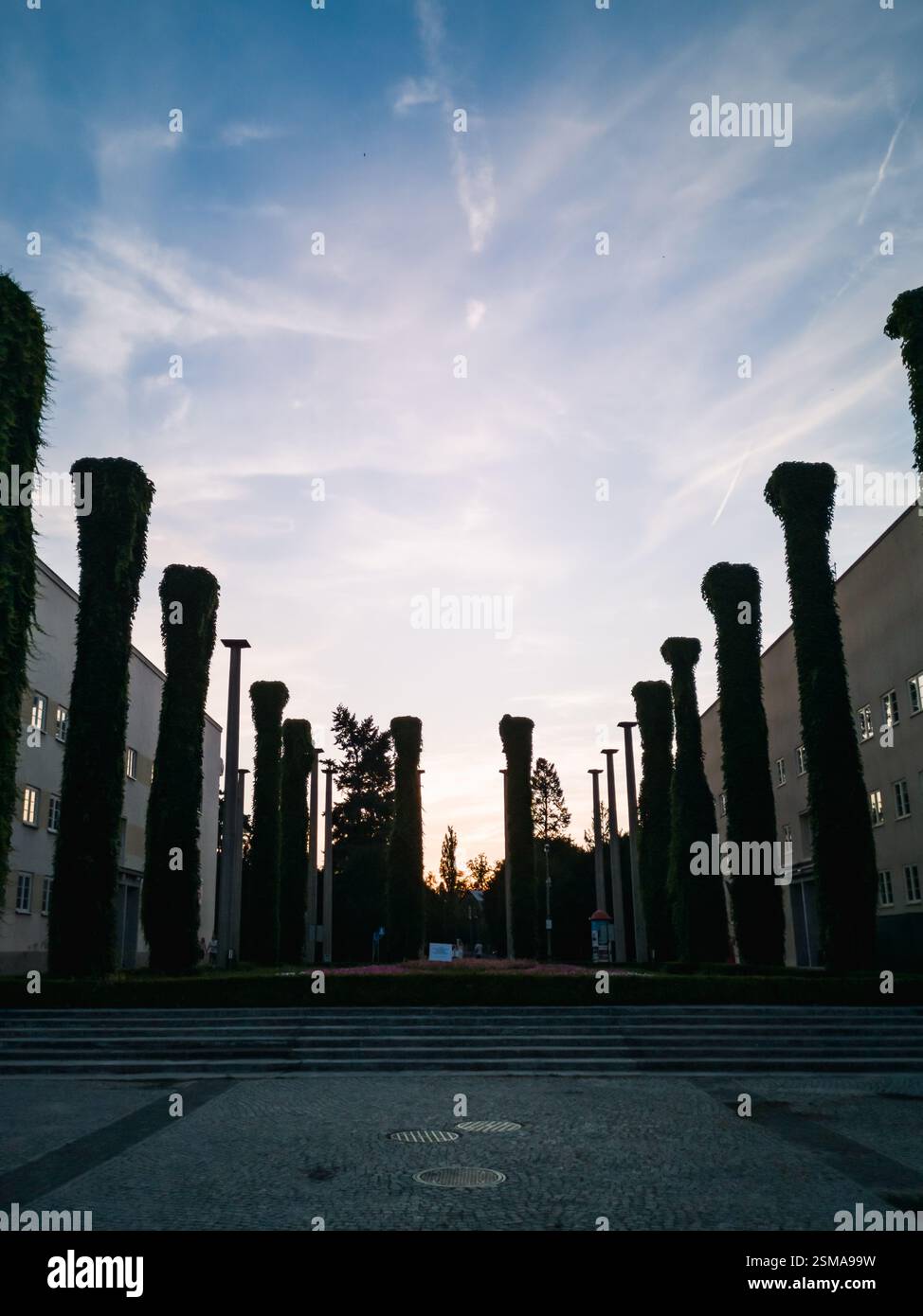 Wroclaw, Pologne - 18 juillet 2024 : colonnes vertes recouvertes de lierre autour du jardin à côté de Wroclaw Centennial Hall au coucher du soleil Banque D'Images