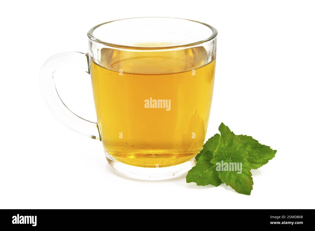 Tisane dans une grande tasse en verre avec un brin de menthe isolé sur fond blanc Banque D'Images