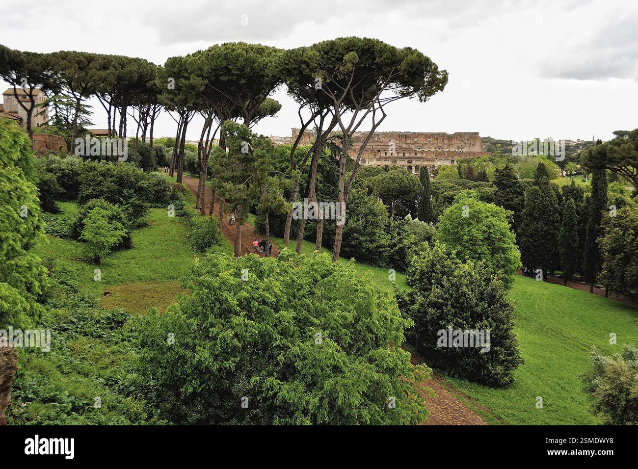 Une photo des monuments de la colline Palatine Banque D'Images