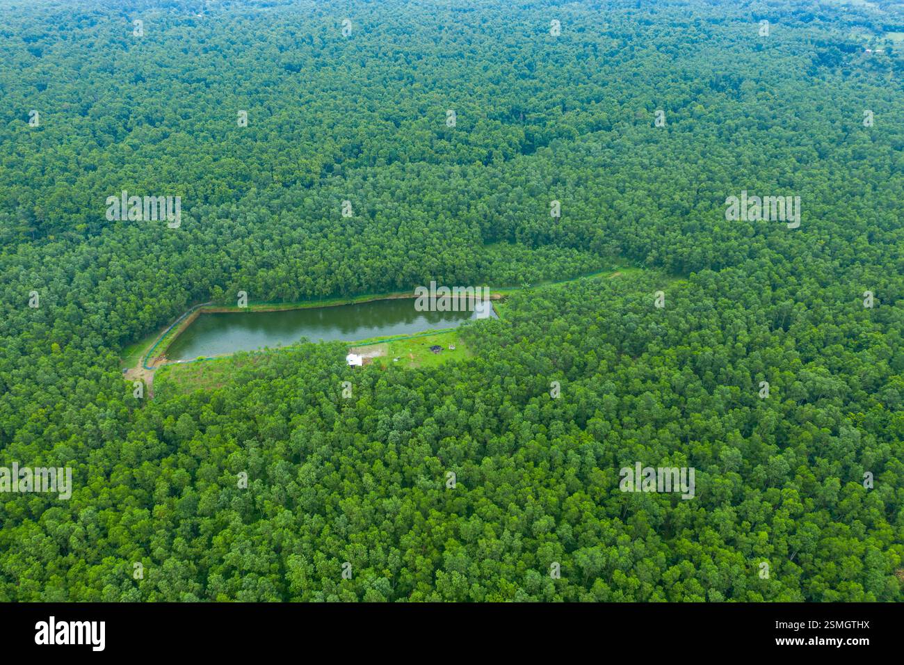 Une vue aérienne à couper le souffle de la forêt de Madhupur à Tangail, au Bangladesh, mettant en valeur sa végétation luxuriante et son écosystème diversifié. Banque D'Images