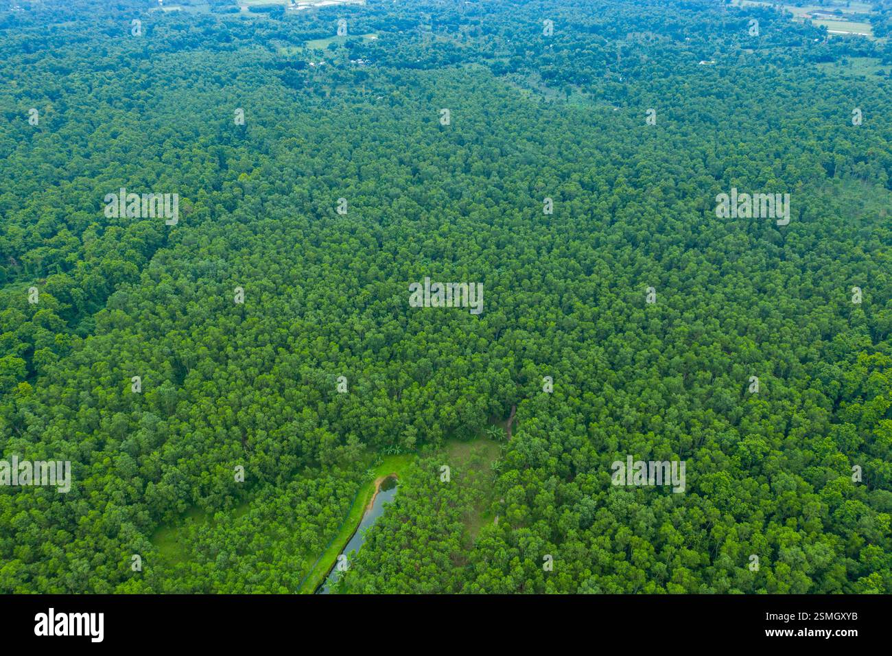 Une vue aérienne à couper le souffle de la forêt de Madhupur à Tangail, au Bangladesh, mettant en valeur sa végétation luxuriante et son écosystème diversifié. Banque D'Images