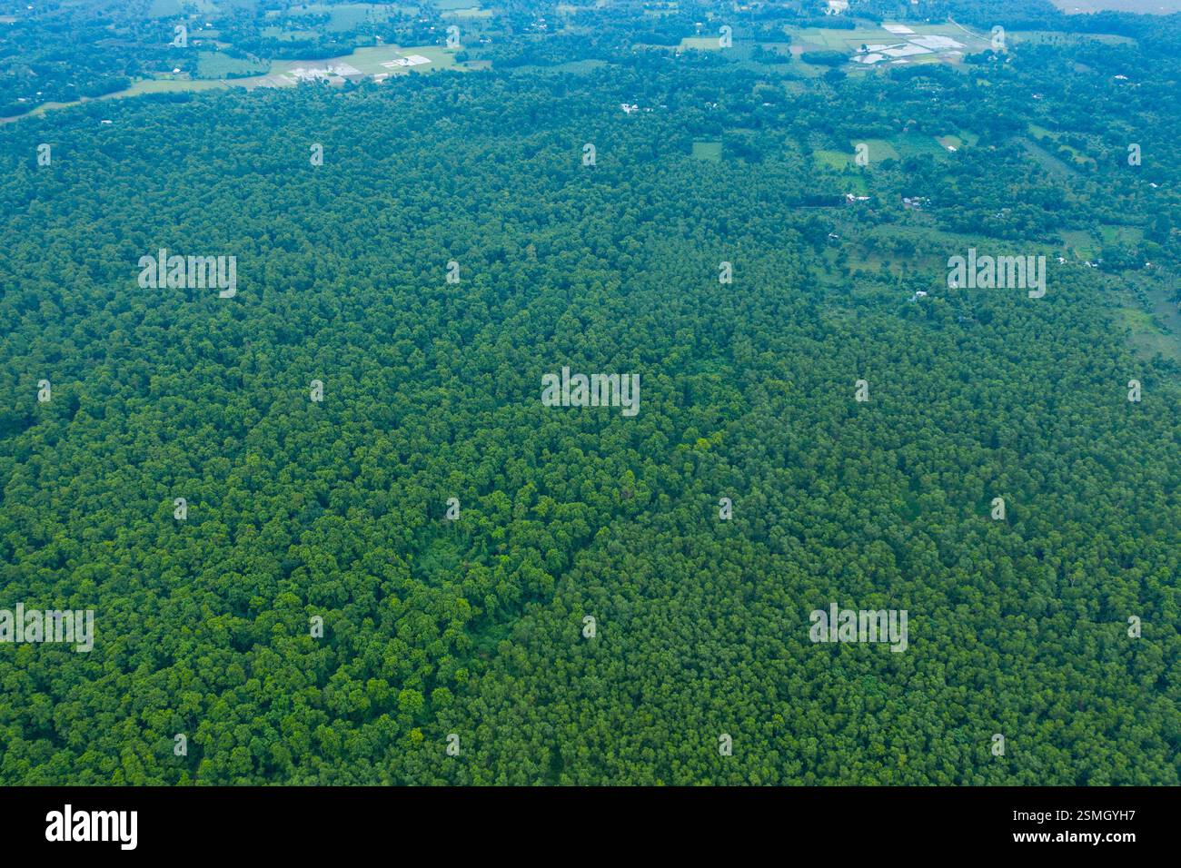 Une vue aérienne à couper le souffle de la forêt de Madhupur à Tangail, au Bangladesh, mettant en valeur sa végétation luxuriante et son écosystème diversifié. Banque D'Images