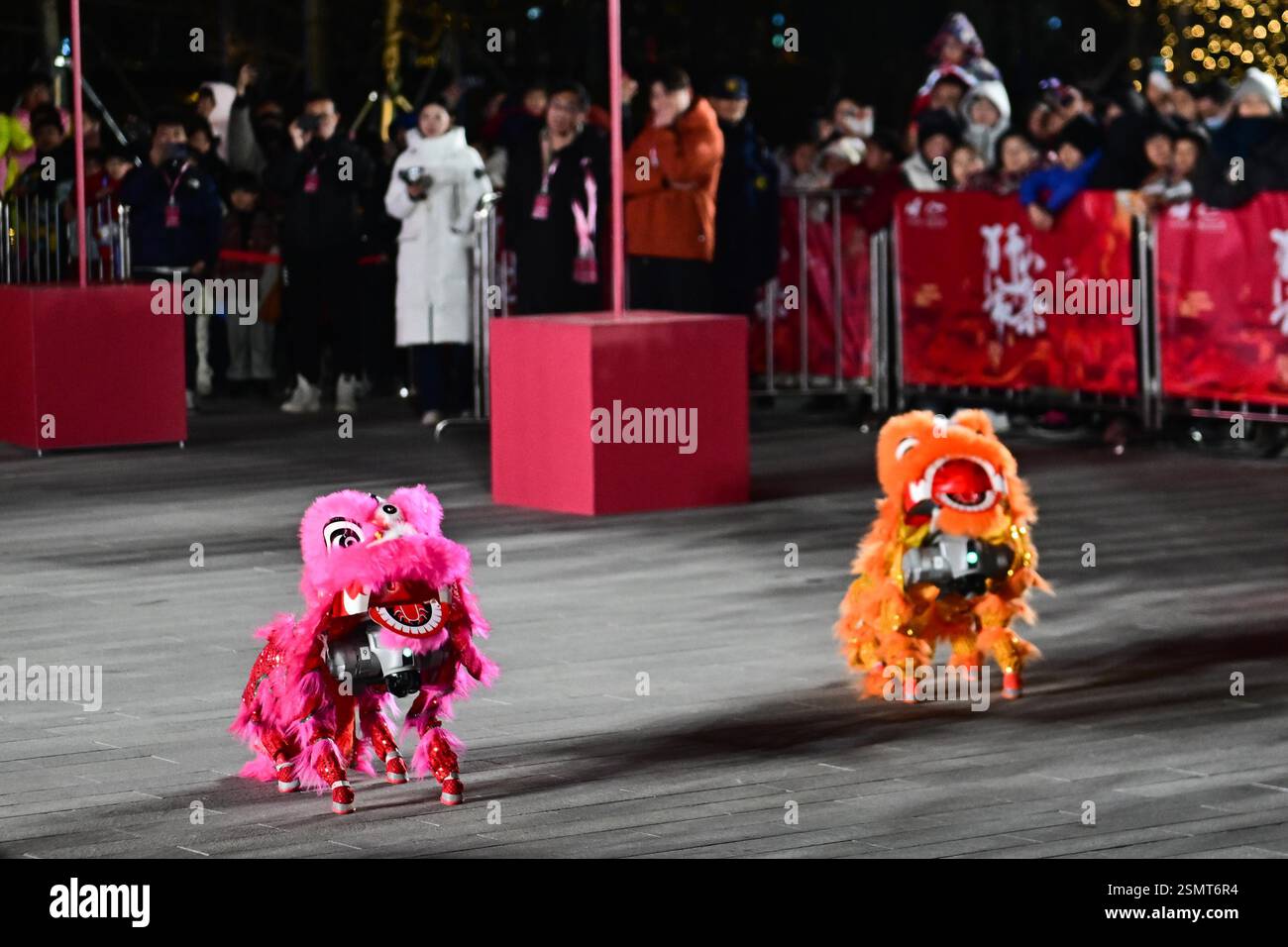 Les chiens robots, avec des décorations en forme de tête de lion, dansent aux côtés de danseurs de lion traditionnels lors d'une célébration du Festival des lanternes dans la ville de Suzhou, Banque D'Images