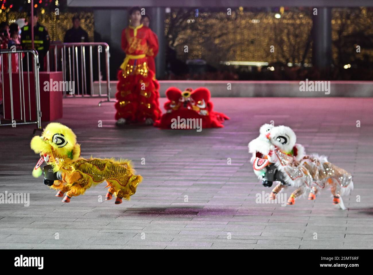Les chiens robots, avec des décorations en forme de tête de lion, dansent aux côtés de danseurs de lion traditionnels lors d'une célébration du Festival des lanternes dans la ville de Suzhou, Banque D'Images