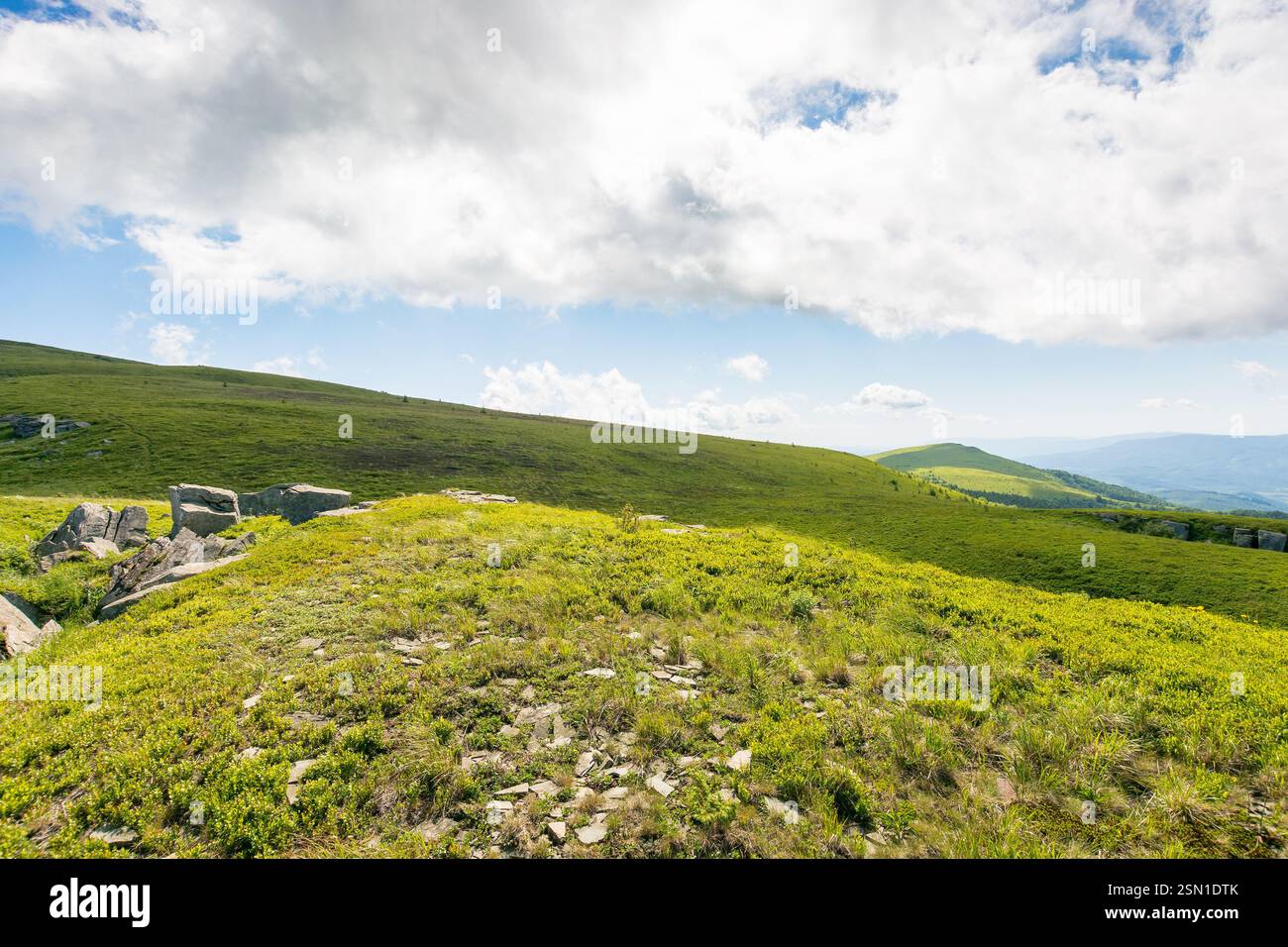 prairies verdoyantes du paysage de montagne des carpates. paysage de nature alpine avec des pierres parmi l'herbe luxuriante sur des collines ondulantes sous un ciel bleu avec des nuages. su Banque D'Images