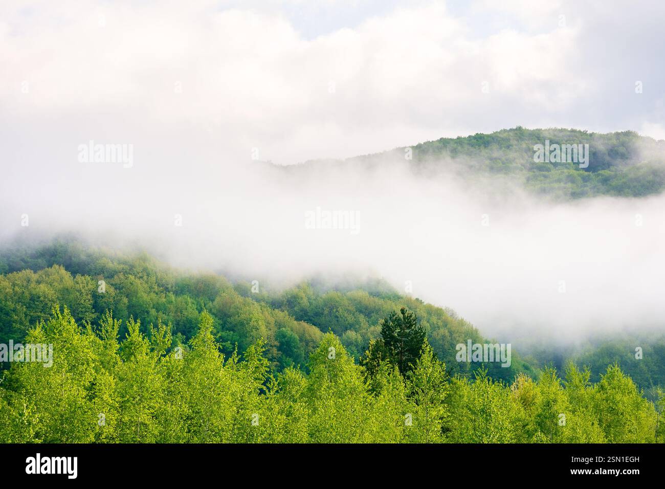 paysage avec brouillard au-dessus de la forêt de feuillus sur la colline. ciel bleu avec des nuages. beau temps brumeux le matin. brume dans la vallée. vue panoramique Banque D'Images