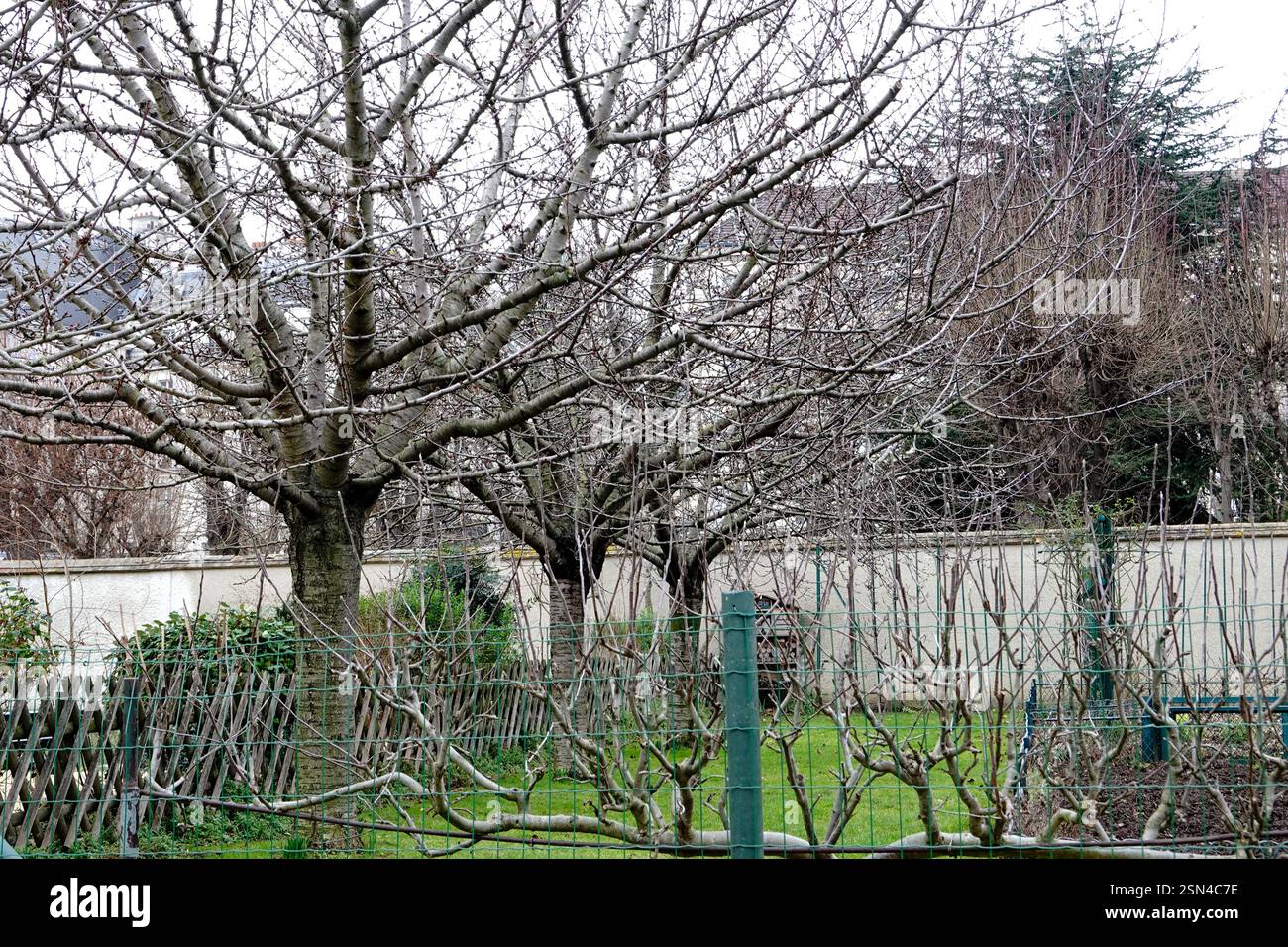 Jardin Catherine-Labouré, partie parisienne du 7ème arrondissement, en hiver. Banque D'Images