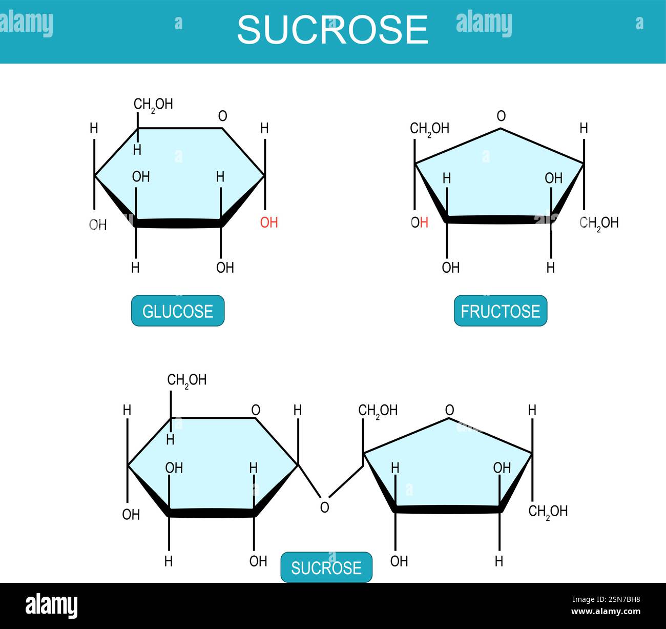 Molécules de saccharose, de fructose et de glucose. Formule structurale chimique moléculaire et modèle du disaccharide. Illustration vectorielle Illustration de Vecteur