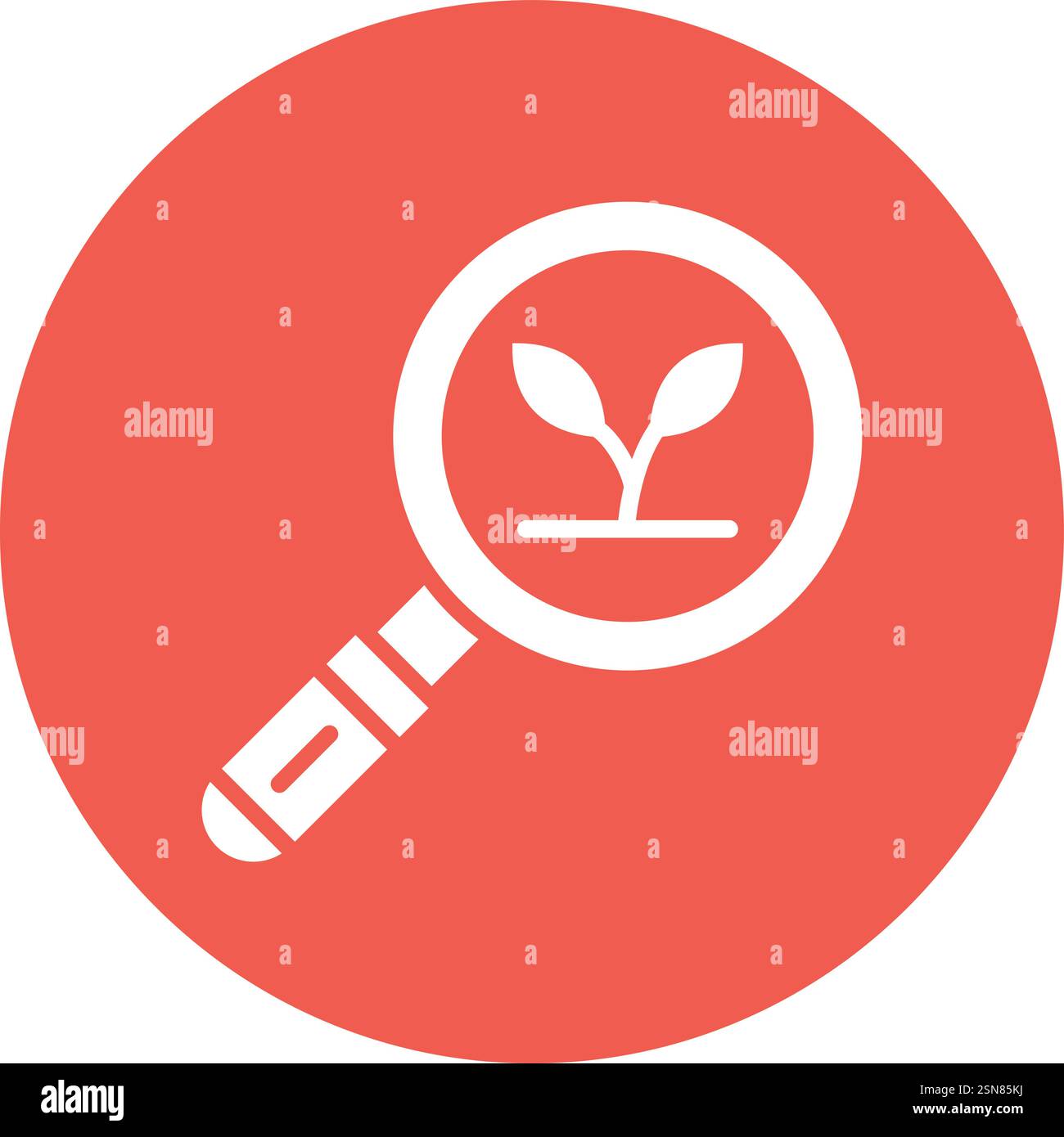 Recherche écologique icône vectorielle illustration de conception Illustration de Vecteur