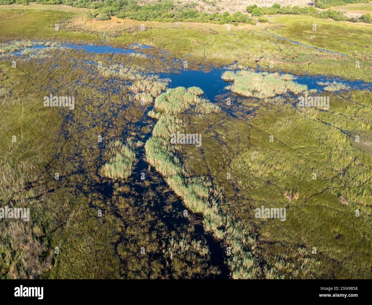 Paysage Okavango au Botswana. Vol de Maun au delta de l'Okavango en hélicoptère. Banque D'Images