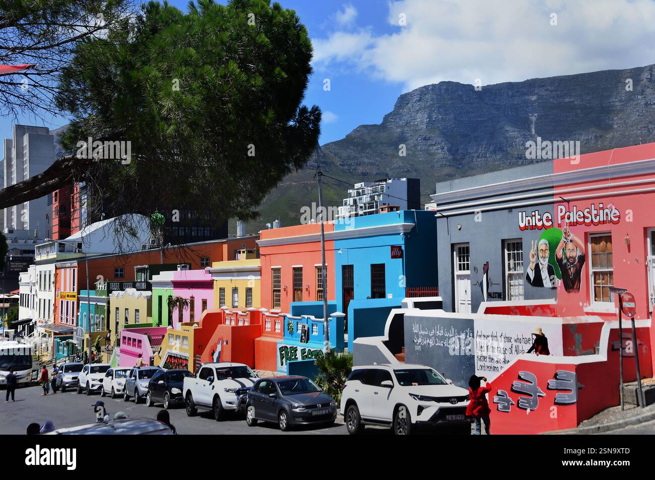 Maisons colorées dans le quartier de Bo-Kaap, Cape Town, Sud, Afrique, RSA, (Schotsche Kloof, quartier malais, musulman, quartier, rue Chiappini, ) Banque D'Images