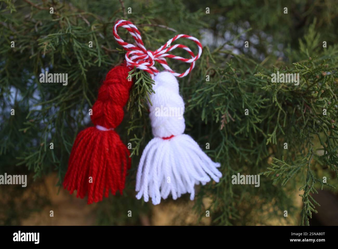 Martenitsa traditionnelle sur l'arbre. Baba Marta, carte de voeux. Pose à plat Banque D'Images