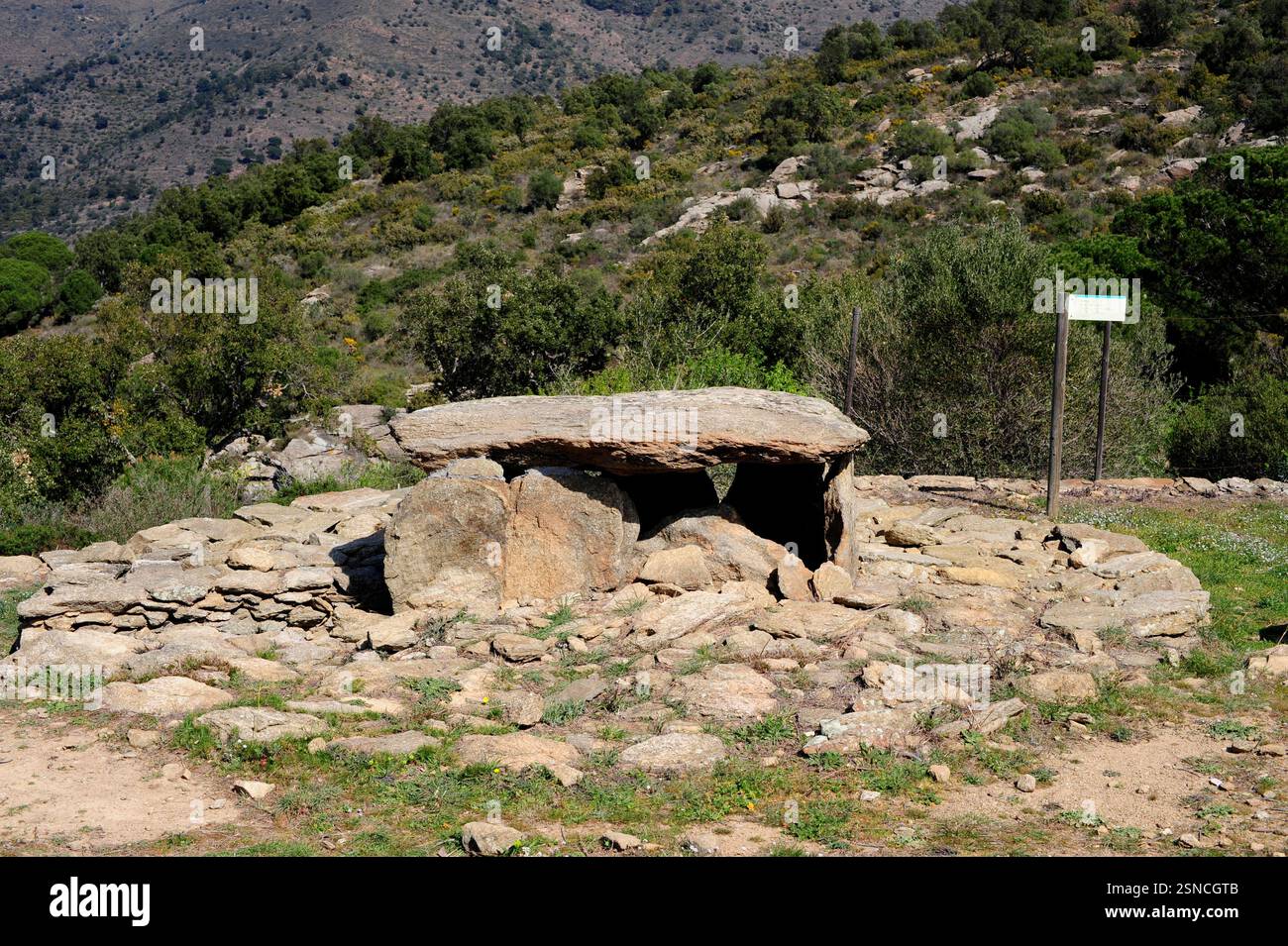Llit de la Generala dolmen. Tombeau de passage construit avec gneiss (3500-3000 av. J.-C.). Roses, Alt Empordà, Gérone, Catalogne, Espagne. Banque D'Images