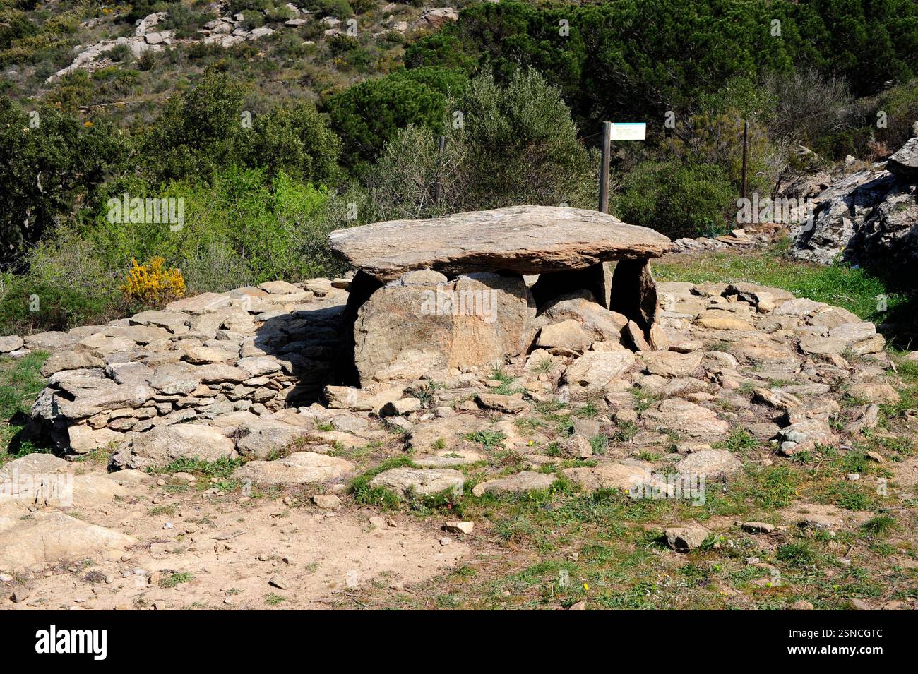 Llit de la Generala dolmen. Tombeau de passage construit avec gneiss (3500-3000 av. J.-C.). Roses, Alt Empordà, Gérone, Catalogne, Espagne. Banque D'Images