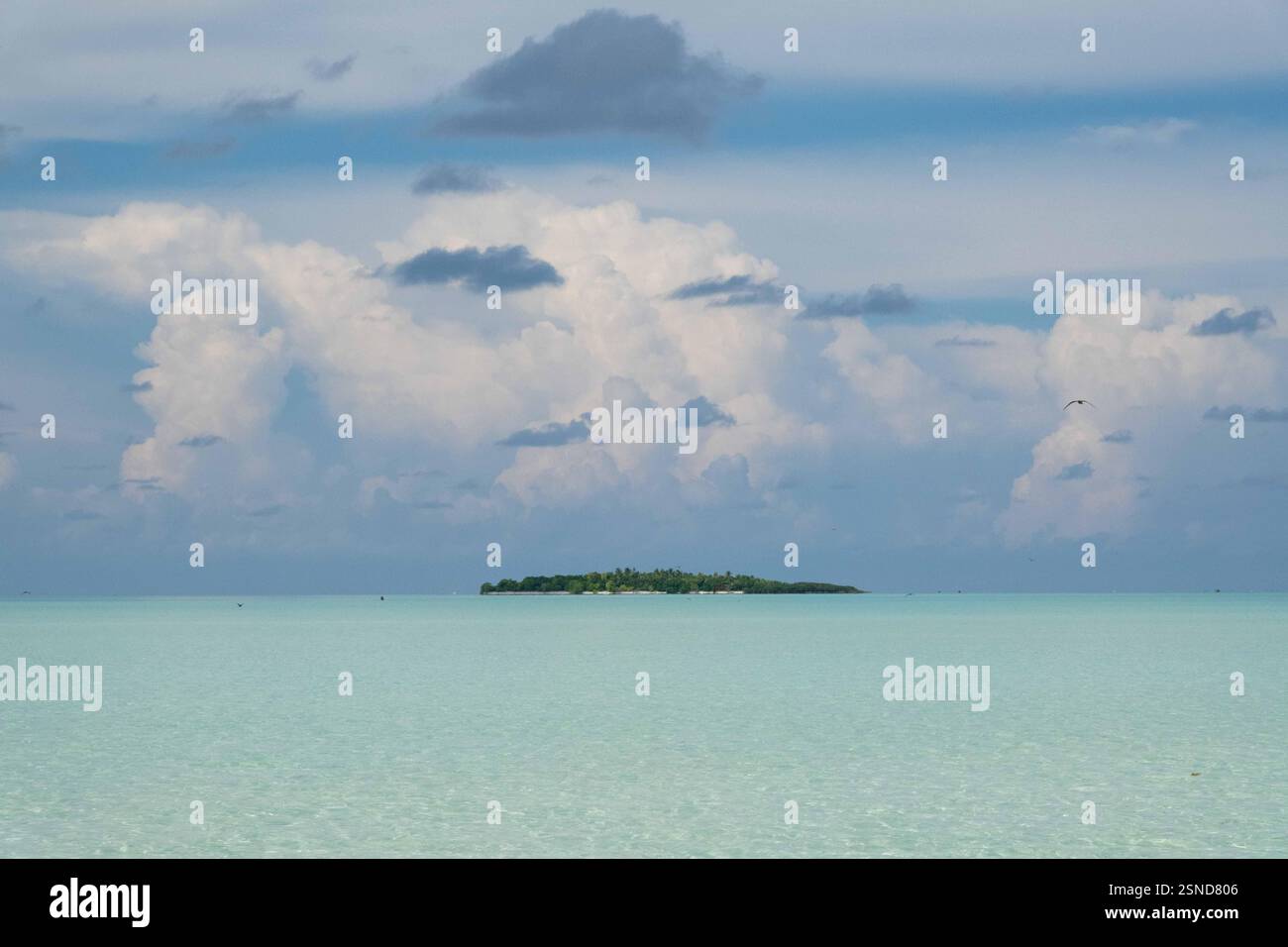 Atoll à l'horizon, Polynésie française Banque D'Images