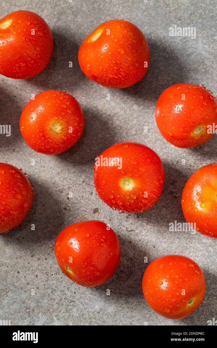 Tomates Campari crues biologiques rouges prêtes à cuire Banque D'Images