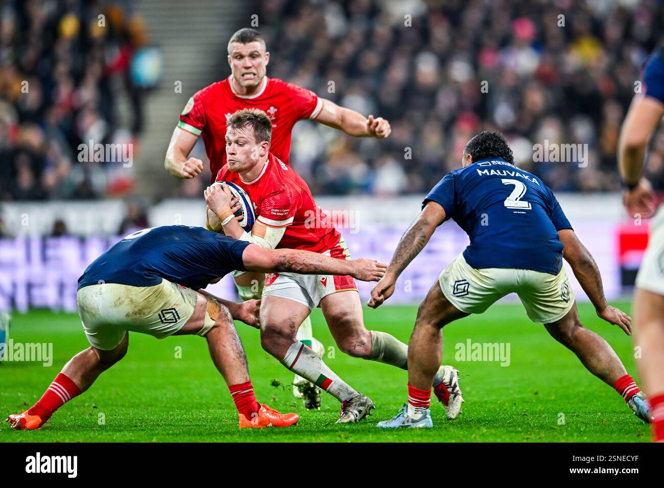 Joueurs lors du championnat des 6 ou 6 Nations de rugby match France VS pays de Galles au stade de France à Saint Denis près de Paris, le 31 janvier 2025. Crédit : Victor Joly/Alamy Live News Banque D'Images