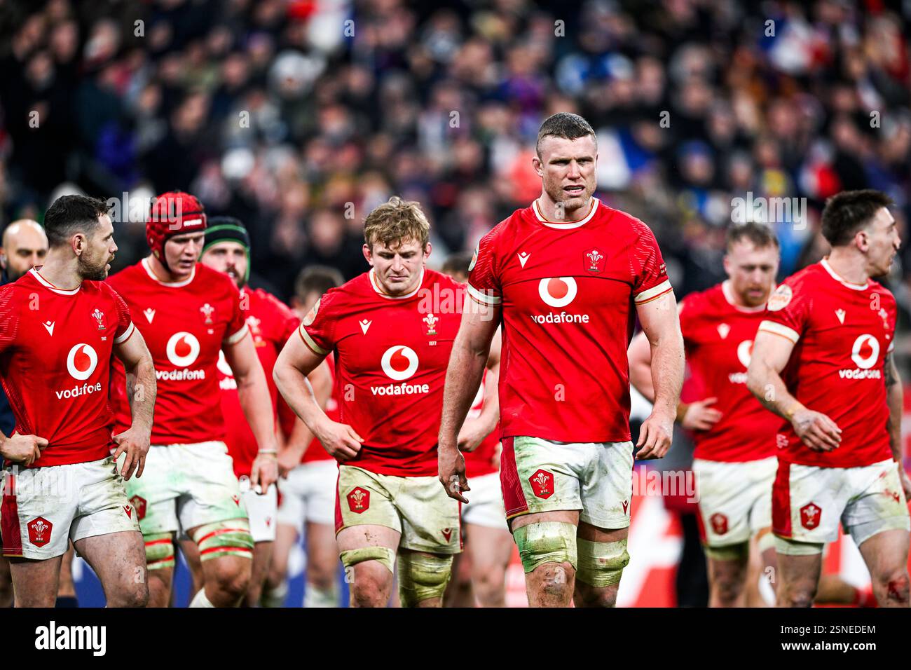 Will Rowlands lors du 6 ou 6 Nations Championship rugby match France VS Wales au stade de France à Saint Denis près de Paris, le 31 janvier 2025. Crédit : Victor Joly/Alamy Live News Banque D'Images