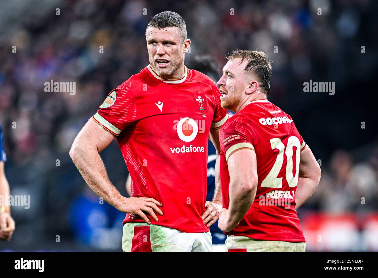 Will Rowlands lors du 6 ou 6 Nations Championship rugby match France VS Wales au stade de France à Saint Denis près de Paris, le 31 janvier 2025. Crédit : Victor Joly/Alamy Live News Banque D'Images