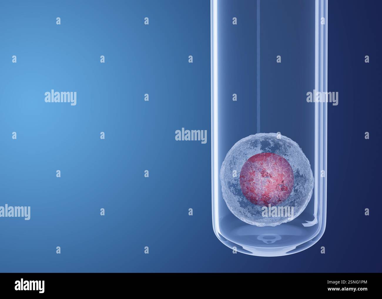 Cellule d'oeuf dans un tube à essai en verre sur fond dégradé bleu, espace pour le texte. Fécondation in vitro Banque D'Images