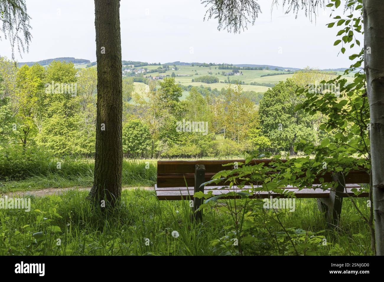 Banc à la lisière de la forêt avec vue sur Wuenschendorf, Erzgebirge, Pockau-Lengefeld, Saxe, Allemagne, Europe Banque D'Images