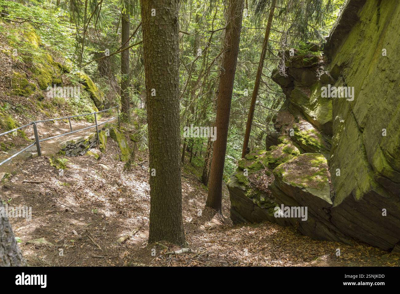 Sentier de randonnée à Wolkensteiner Schweiz, Wolkenstein, Erzgebirge, Saxe, Allemagne, Europe Banque D'Images