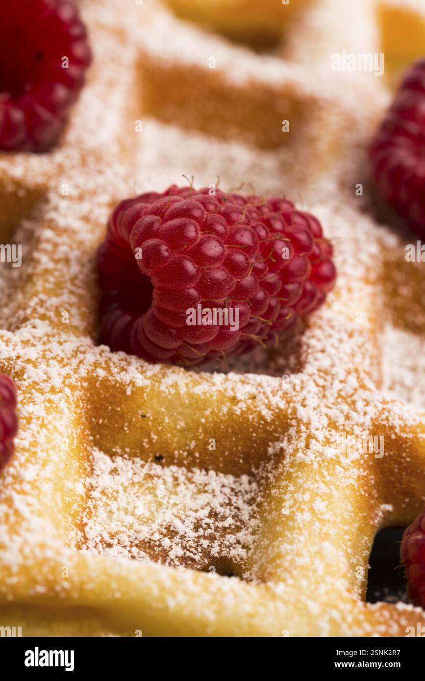 Gaufres fraîches garnies de sucre en poudre et de framboises Banque D'Images
