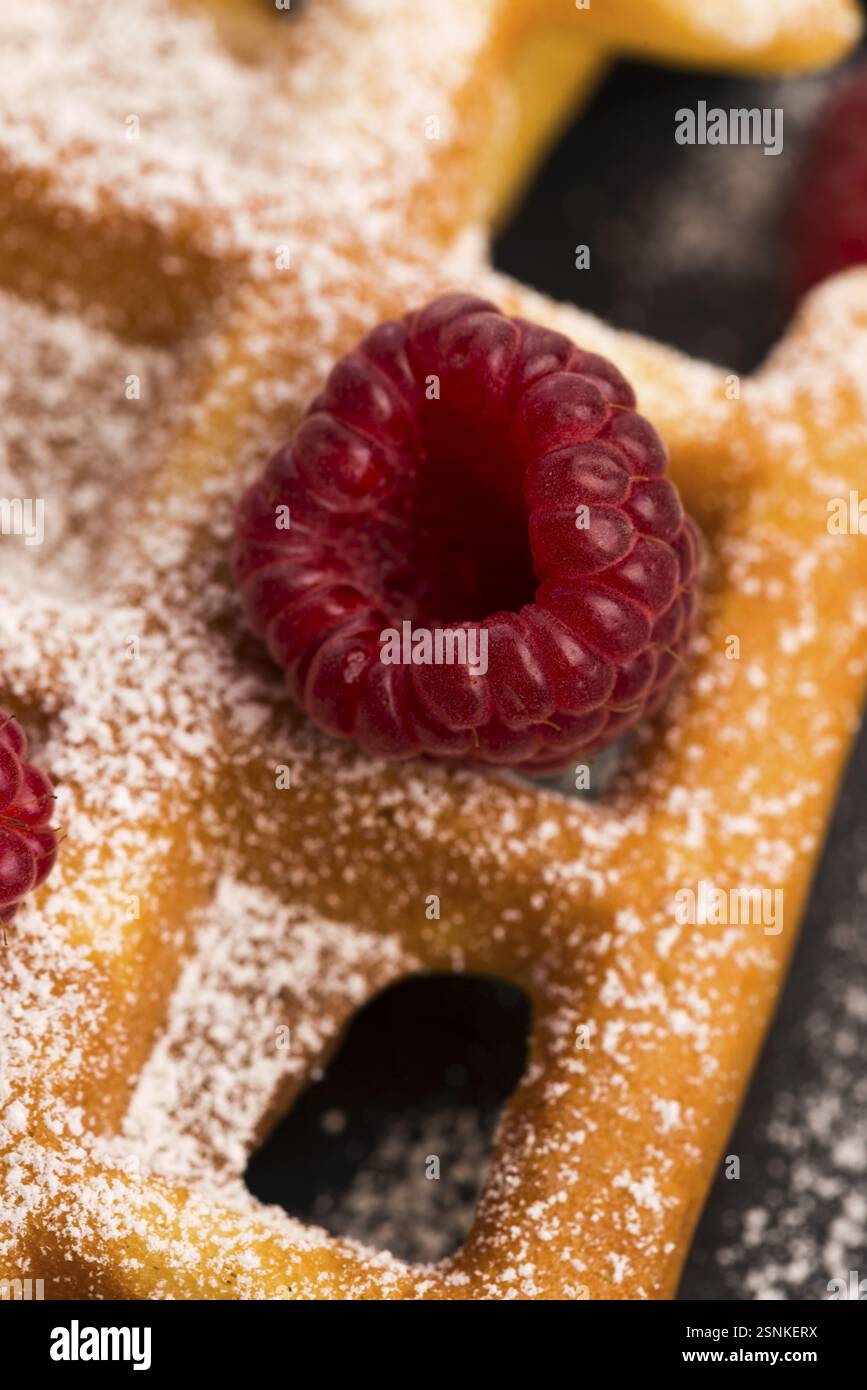 Gaufres fraîches garnies de sucre en poudre et de framboises Banque D'Images
