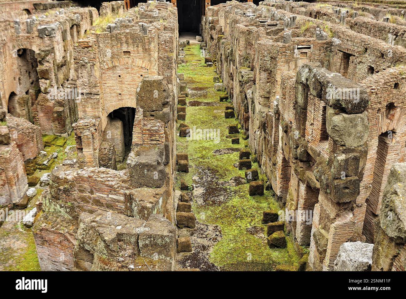Une photo de l'incroyable colisée de Rome Banque D'Images