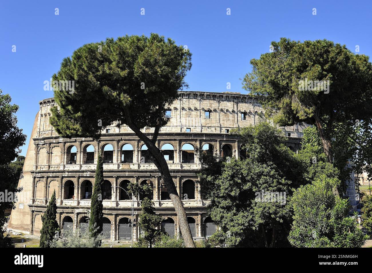 Une photo de l'incroyable colisée de Rome Banque D'Images