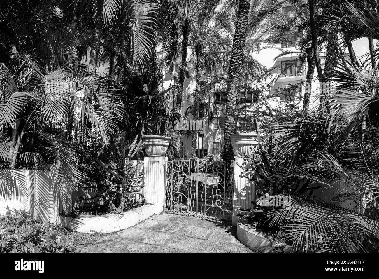 Photo vintage noir et blanc Miami Beach. Vue sur une ancienne clôture avec des palmiers et un bâtiment obstrué Banque D'Images