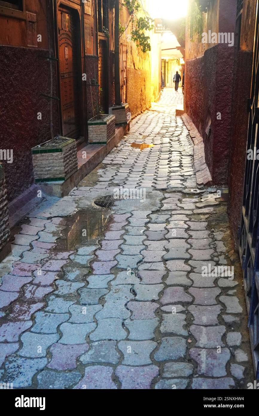 Admirez une longue ruelle étroite pavée de pierres avec une silhouette solitaire à l'extrémité arrière, rétroéclairée par la lumière dorée du soleil du matin Banque D'Images