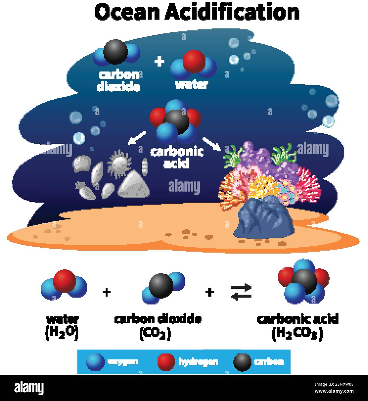 Illustration des réactions chimiques d'acidification des océans Illustration de Vecteur