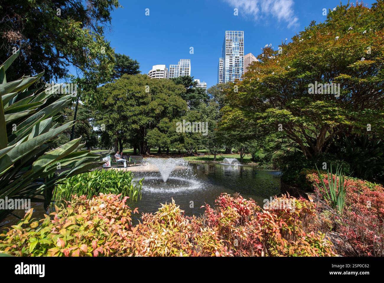 John F Kennedy Memorial treasury Gardens, un homme est assis et lit un livre donnant sur un étang avec fontaine dans le parc public de Melbourne. Banque D'Images