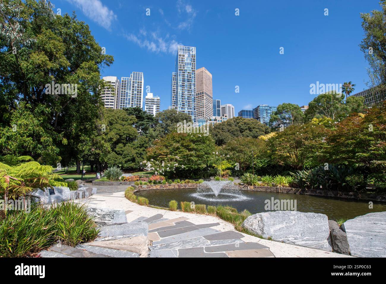 Les gratte-ciel de la ville surplombent les arbres, un étang avec fontaine entouré de fougères, d'herbes, d'arbres et d'arbustes dans treasury Gardens Melbourne Banque D'Images