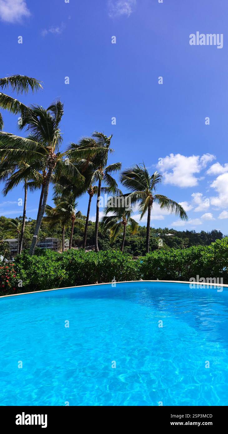 Sanctuaire de Hamilton Island : une piscine à débordement étincelante vous invite, son bord se confond avec l'horizon turquoise au-delà. Les palmiers oscillants complètent ce pi Banque D'Images