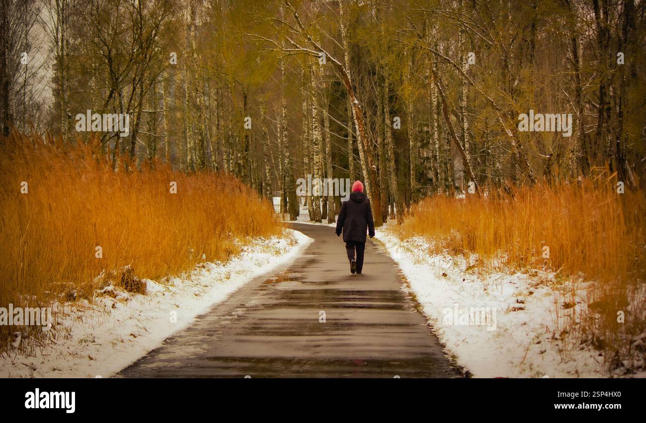 Une femme marche le long d'un lit de roseaux sur une route d'hiver Banque D'Images