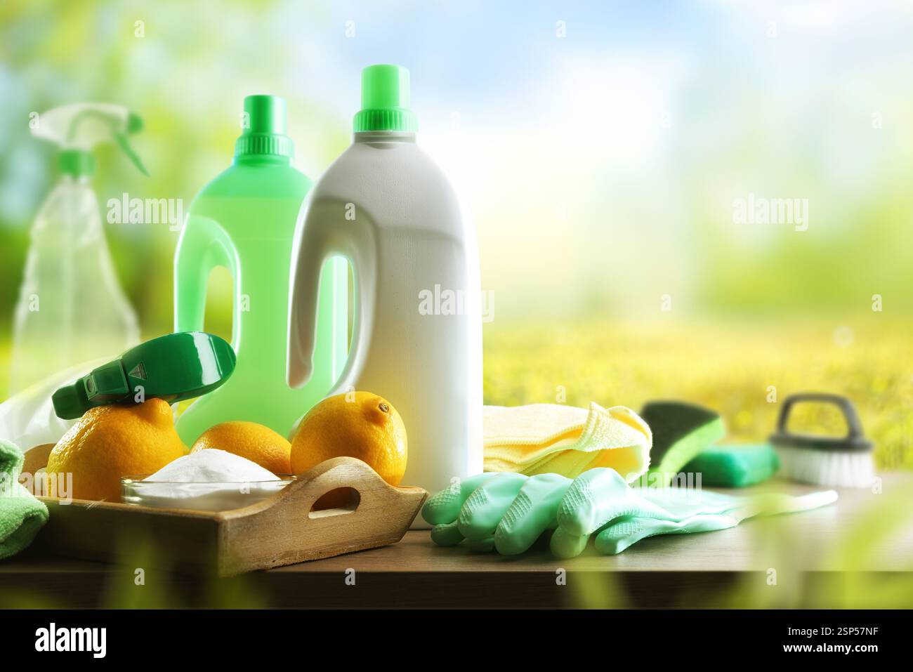 Produits de nettoyage avec des ingrédients naturels et durables et des outils tels que désinfectant, tampons à récurer, chiffon et gants sur une table en bois avec natu Banque D'Images