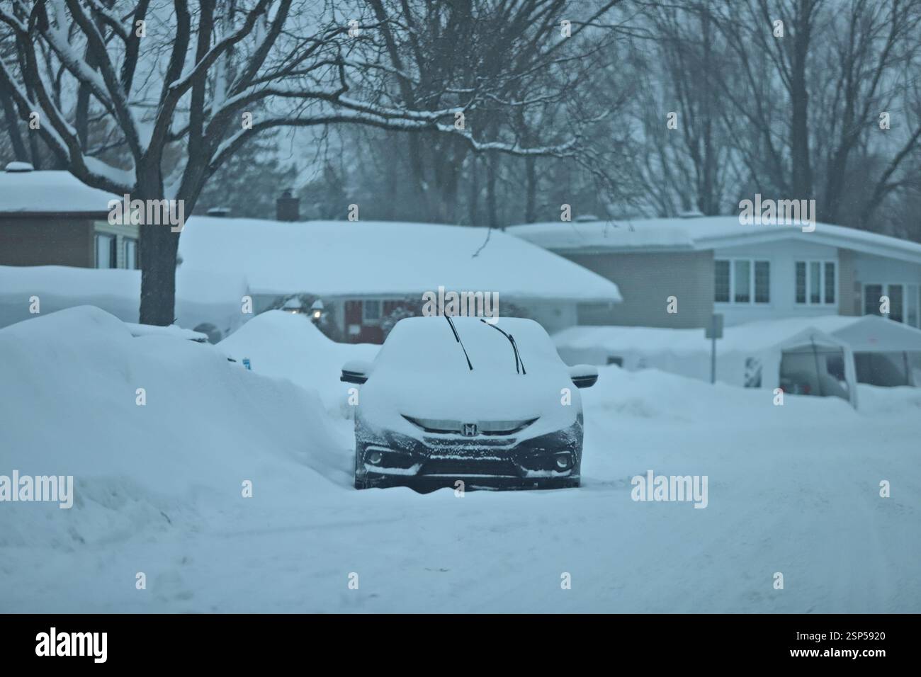 Non exclusif : un véhicule est vu sous la neige lors de la dépression hivernale majeure a apporté des tempêtes de neige qui ont déversé jusqu'à 40 centimètres de neige au LUN Banque D'Images