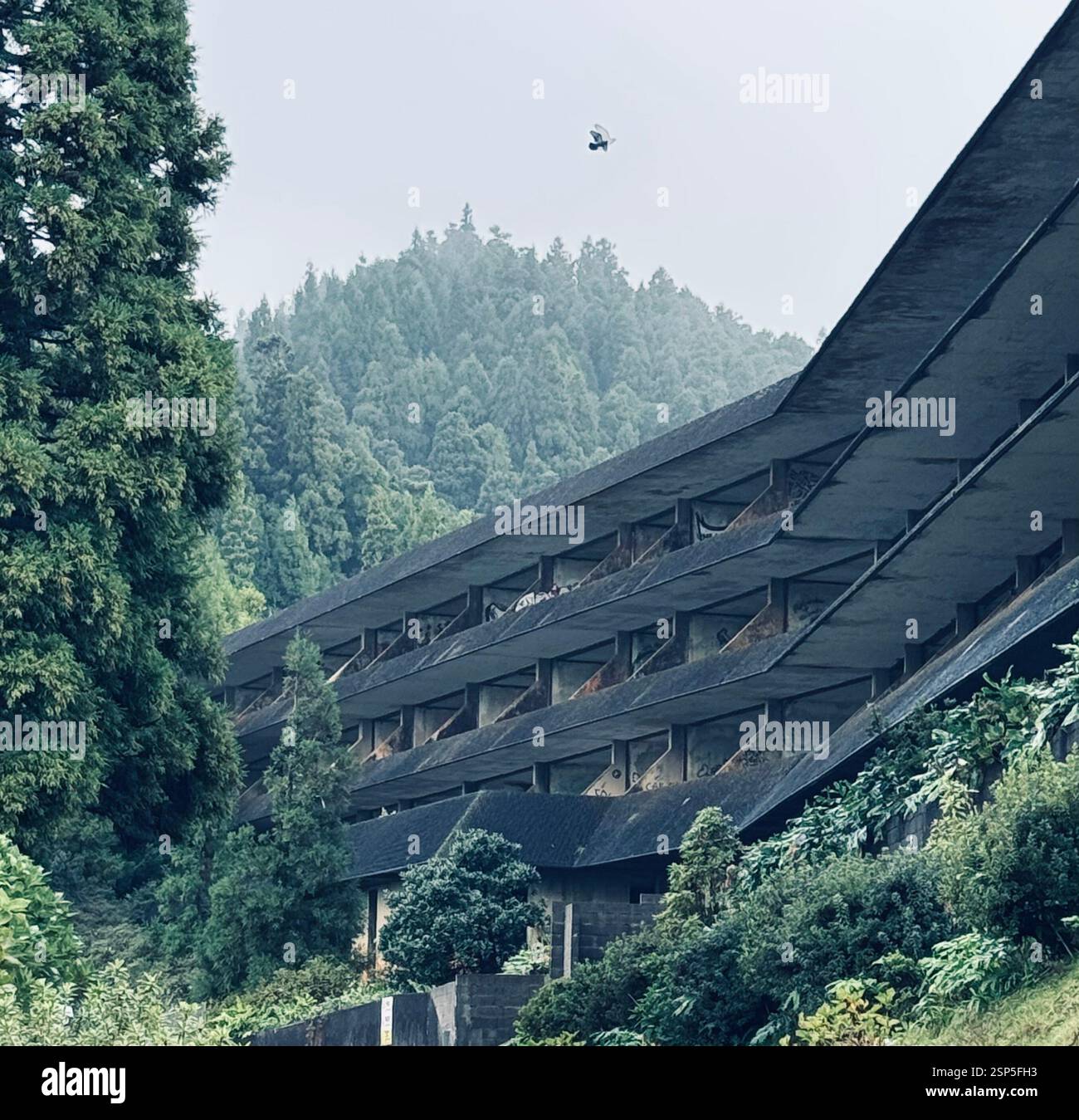 L'hôtel abandonné Monte Palace, situé près du point de vue Vista do Rei sur São Miguel, était censé être un complexe de luxe surplombant Sete Cidades, mais Banque D'Images