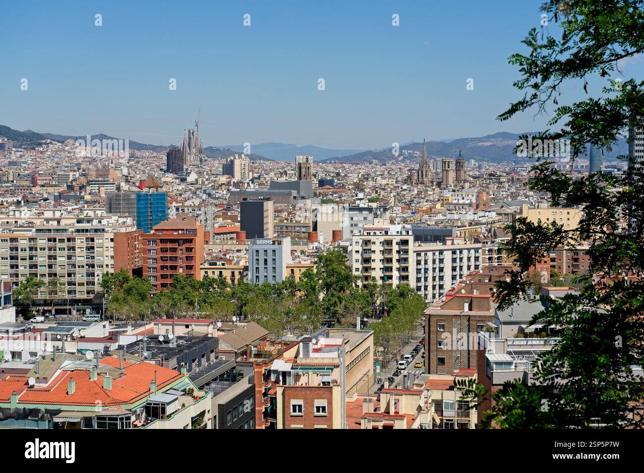 Barcelone Espagne - 24 avril 2024 - vue de Barcelone depuis Montjuïc avec la Sagrada Familia Banque D'Images