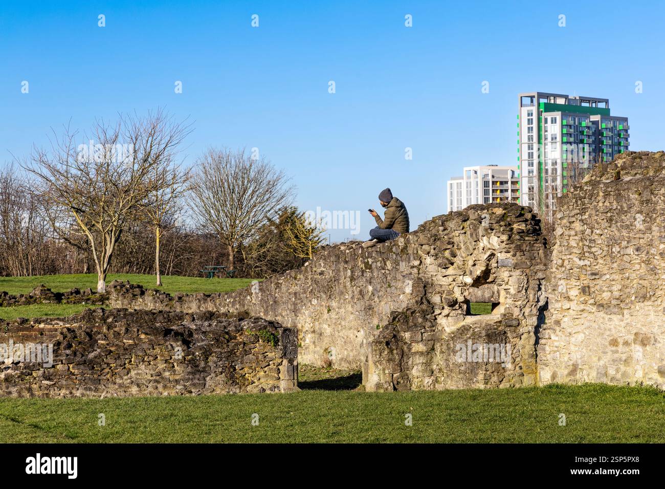 Homme regardant le téléphone sur les ruines de l'abbaye de Lesnes, Abbey Wood, Londres, Angleterre Banque D'Images