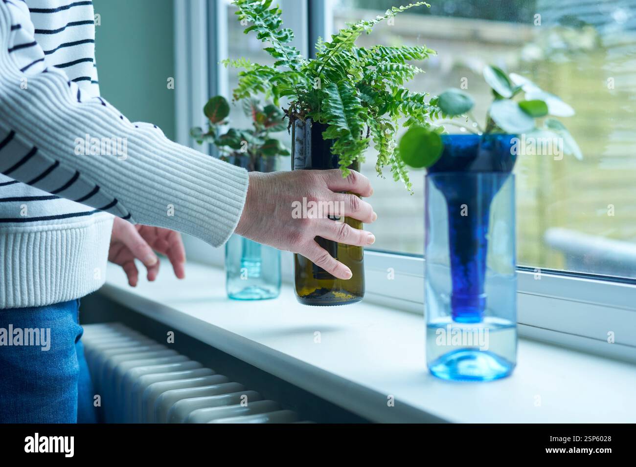 Gros plan de Woman at Home Caring for Plant dans un pot ou un vase durable fabriqué à partir d'une bouteille en verre recyclé Banque D'Images