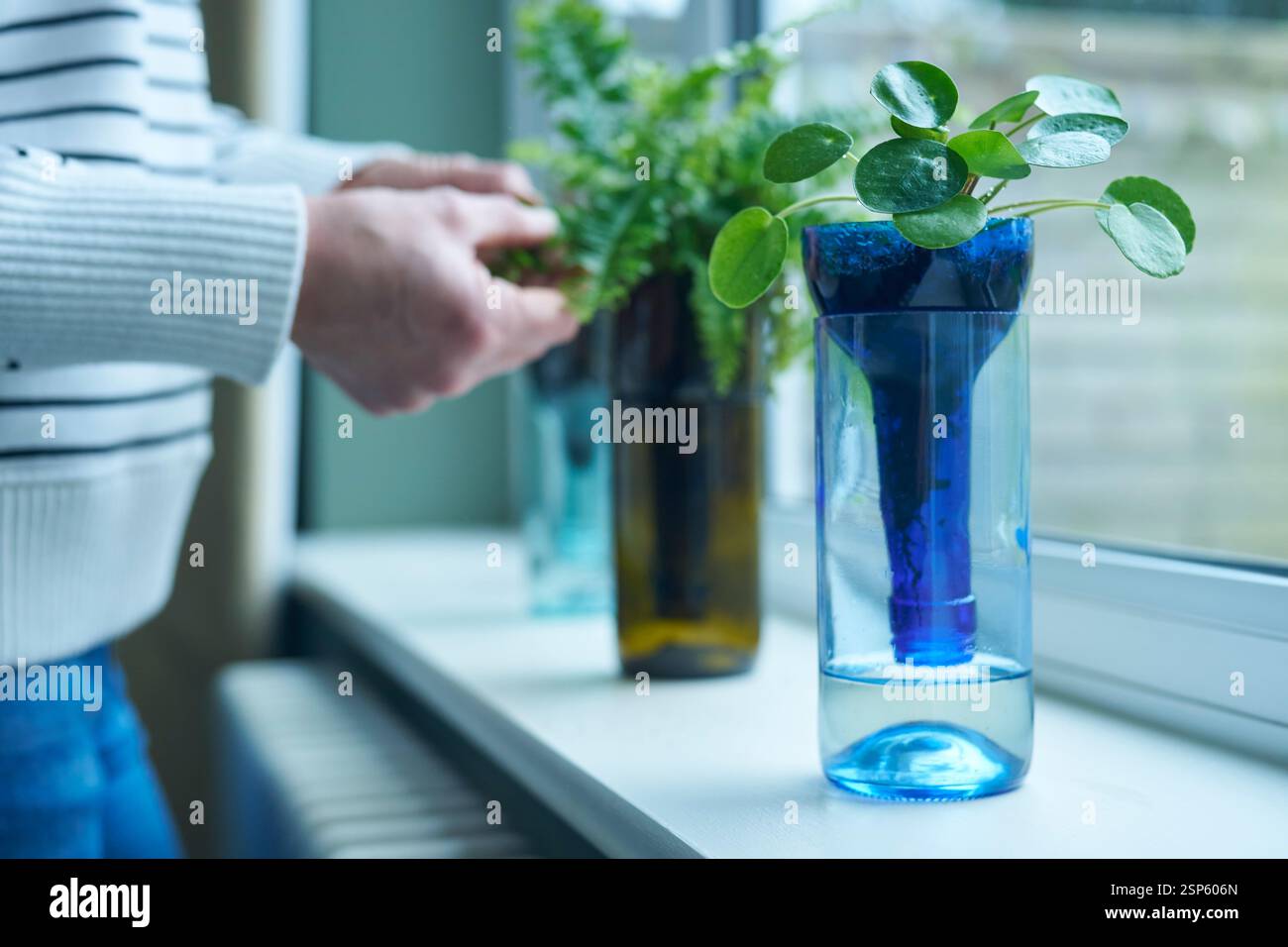 Gros plan de Woman at Home Caring for Plant dans un pot ou un vase durable fabriqué à partir d'une bouteille en verre recyclé Banque D'Images
