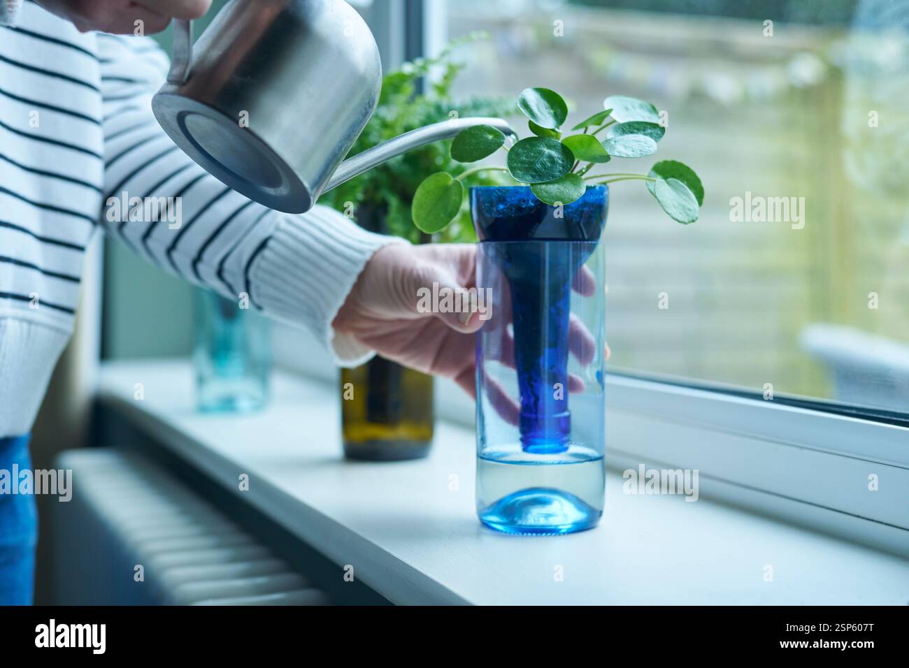 Gros plan de Woman at Home Watering Plant dans un pot ou un vase durable fabriqué à partir d'une bouteille en verre recyclé Banque D'Images